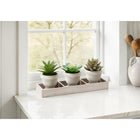 Monarch Specialties 9373 6" Tall Artificial Succulents - Beige Pots - Set of 3-With no maintenance required, these artificial succulents provide lasting greenery without watering, sunlight, or upkeep