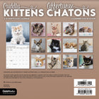 DateWorks 2026 16-Month Mini Wall Calendar - 7" x 7" - Cuddly Kittens - Bilingual-13 High Quality Images printed on Premium Paper