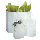 Eddie's Recycled Shopper Paper Bag - 13" x 7" x 13" - White - 100 Pack-Thicker and sturdier paper shopping bag
