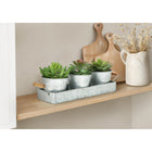 Monarch Specialties 9372 6" Tall Artificial Succulents - Silver Metal Pots - Set of 3-With no maintenance required, these artificial succulents offer the beauty of greenery without watering, sunlight, or upkeep