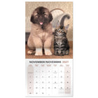 Mead 2027 Decorative Wall Calendar - 12" x 12" - Paw Pals - Bilingual-Printed on quality paper for clarity and durability throughout the year