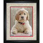 Montreal Canadiens Dog - Framed Print - 12" x 15"-Premium virtual frames