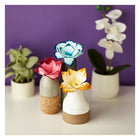Crayola Paper Flower Science Kit-Safe and nontoxic
