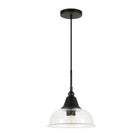 Hudson&Canal Magnolia 10.75" Wide Pendant with Glass Shade - Blackened Bronze/Seeded-Modern and contemporary design for your entryway, foyer, or kitchen