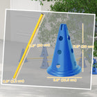 PawHut Portable Dog Agility Hurdle Cone Set with 8 Cones, 8 Poles and Carry Bag - Blue-Easy to disassemble poles and cones for easy transport 