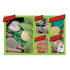 Yellow Door Let's Investigate Bugs Stone 8-Piece Set-These bugs are durable for use outdoors and offer children the opportunity to learn close up about the living creatures they will encounter in daily life without them scuttling or flying away!