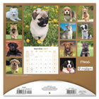 Mead 2027 Decorative Wall Calendar - 12" x 12" - Puppies - Bilingual-Features full colour monthly artwork designed to enhance walls and shared spaces