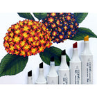 Copic Sketch Dual Tipped Ink Markers - Perfect Primaries - Set of 6-6