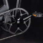 Decent Living 20" Foldable Fat Tire E Bike-9
