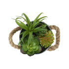 Monarch Specialties 9361 7" Tall Artificial Succulent - White Metal Pots - Set of 2-Environmentally friendly and thoughtfully designed, these decorative plants require no maintenance, making them an ideal choice for busy lifestyles and workspaces