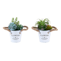 Monarch Specialties 9361 7" Tall Artificial Succulent - White Metal Pots - Set of 2-Refresh your tabletop décor with this set of 2 artificial plants, featuring 7" tall artificial succulents styled in sleek white metal pots a clean, modern accent for the home or office