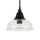 Hudson&Canal Magnolia 10.75" Wide Pendant with Glass Shade - Blackened Bronze/Seeded-Rated for one 60W incandescent bulb - 9W LED bulb, 13W fluorescent (CFL) bulb, or 9W self-ballasted LED bulb, E26-base bulb, Bulb not included