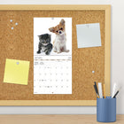DateWorks 2026 16-Month Mini Wall Calendar - 7" x 7" - Buddies - English-Features monthly pages for January to December 2026, as well as the last 4 months of 2025