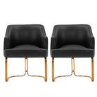 Manhattan Comfort Raya 25.2" Modern Leatherette Upholstered Dining Armchair - Black - Set of 2-Modern Dining Chair for Dining Room and Task Chair Usage