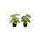 Monarch Specialties 13" Artificial Indoor Monstera Calthea - Table - Black Pots - Set of 2-These easy-care faux table plants are made from the highest quality materials and require no maintenance or watering, for a sustainable, environmentally friendly decorative accents that will last a lifetime