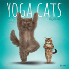 Plato 2026 Yoga Cats Together Official Monthly Hanging Wall Calendar - 12" W x 24" H  - English-Photography - Enjoy stunning, full-color photographs or artwork every single month