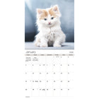 DateWorks 2026 16-Month Wall Calendar - 12" x 12" - Cuddly Kittens - English-September 2025 - December 2026