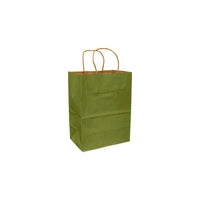 Eddie's 100% Recycled Kraft Shopper Paper Bag - 8" L x 4-3/4" W x 10-1/4" D - Leaf Green - 100 Pack-8" x 4-3/4" x 10-1/4"
