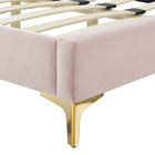 Modway Current Performance Velvet Queen Platform Bed with Gold Metal Legs - Pink-Assembly Required