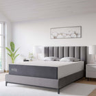 Modway Mila 12" Queen Mattress-11.22" Supportive Foam
