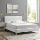 Modway Peyton Performance Velvet Full Platform Bed with Gold Metal Legs - White-Assembly Required