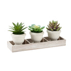 Monarch Specialties 9373 6" Tall Artificial Succulents - Beige Pots - Set of 3-This set of 3 artificial plants features 6" tall artificial succulents designed to create a cohesive decorative display for any table or surface