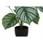 Monarch Specialties 24" Artificial Indoor Calathea - Table - Black Pot-No assembly required: product dimensions: 20 in. L x 20 in. W x 23.5 in. H
