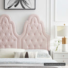 Modway Augustine Tufted Performance Velvet Twin Headboard - Pink-Assembly Required