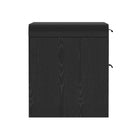 Manhattan Comfort Grace 28" Modern 2-Drawer Nightstand Set - Black-Home Assembly Required (All Hardware Included)