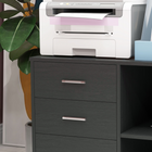 HOMCOM 3 Drawer Mobile Lateral Filing Cabinet with Open Shelves - Black-The shelf on the right side could be adjusted to satisfy your special needs 