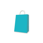 Millbrook Studios Kraft Bags - Medium - Teal - 12 Pack (00582)-10.13" x 4.75" x 7.88"