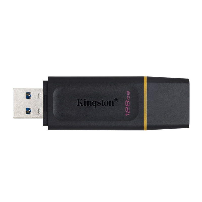 Kingston 128GB 3.2 USB DataTraveler Exodia | staples.ca