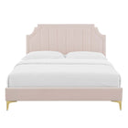 Modway Sienna Performance Velvet Queen Platform Bed with Gold Metal Legs - Pink-Assembly Required