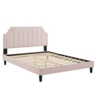 Modway Sienna Performance Velvet Twin Platform Bed with Black Wood Legs - Pink-Twin Platform Bed