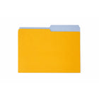 Merangue Pool Summer File Folder - 3 Pack-13 pt. stock paper