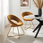 Modway Nouvelle Performance Velvet Dining Chair - Gold/Cognac - 2 Pack-Glam Deco Accent Chairs