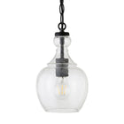 Hudson&Canal Verona 7" Wide Pendant with Glass Shade - Blackened Bronze/Seeded-Paired with a seeded dome glass shade