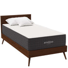 Modway Aveline 12" Memory Foam Twin Mattress-Stretch Knit Zipper Removable Cover