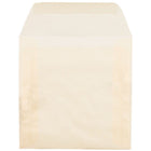 JAM Paper Square Translucent Vellum Invitation Envelopes - 6" x 6" - Spring Ochre Ivory - 25 Pack (PACV510)-Quantity: 25 envelopes per pack