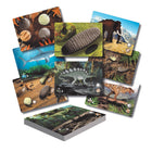 Yellow Door Prehistoric Teeth Explore and Discover Activity Cards 16-Piece Set-Designed to be used alongside our Prehistoric Teeth set, these exciting activity cards will enable children to match, explore, talk about their discoveries, as well as learn more about dinosaurs and other prehistoric animals.