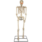 GEMMY 10' Poseable Skeleton with Lit Eyes-10-ft poseable skeleton