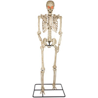GEMMY 10' Poseable Skeleton with Lit Eyes-10-ft poseable skeleton