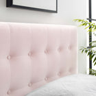 Modway Emily Biscuit Tufted Performance Velvet Twin Headboard - Pink-Elegant Biscuit Tufted Buttons