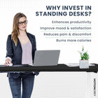 MotionGrey Electric Dual Motor Height Adjustable 165" W Sit-to-Stand Desk - White Frame-9