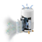 Homedics T200 Smart Air Purifier-3-in-1 True HEPA filtration removes up to 99.97% of airborne allergens as small as 0.3 microns