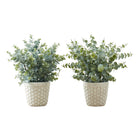 Monarch Specialties 13" Artificial Indoor Eucalyptus Grass - White Pots - Brown Pots - Set of 2-Add a touch of greenery to your home or office space with this set of 2, indoor only artificial eucalyptus grass plants up to 13" tall
