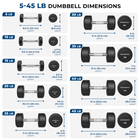 MotionGrey Single Fixed-Weight Dumbbell for Home Gym Strength Training - 30 lb-Colour: Black