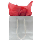 JAM Paper Tissue Paper - Red - 50 Sheets-Size: 20 x 26 (standard) | Perfect fit for any sized gift bags & boxes