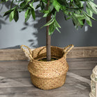 Outsunny 3' Artificial Laurel Tree in Pot - Green - 2 Pack-Material: PE, PP, Cement 