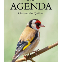 Horizon Éditions 2027 Birds Monthly and Daily Planner - 5-7/8" x 9-1/16"-One day per page, divided into 3 sections (morning, afternoon and evening) and a space for notes